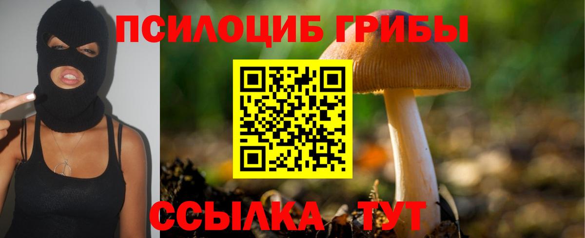 Вичуга  Галлюциногенные грибы MAGIC MUSHROOMS  Вход с VPN 